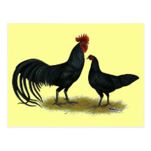 Tomaru Long Crower Chickens Post Card