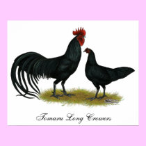 Tomaru Long Crower Chickens posters