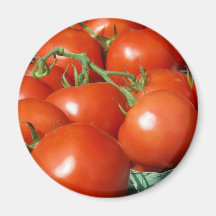 Tomatoes Refrigerator Magnet