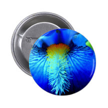 Tongue of an Iris Buttons