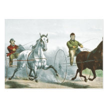 TOP Horse Poetry Business Card