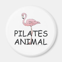 TOP Pilates Animal Fridge Magnets