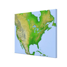 Topographic view of North America Gallery Wrap Canvas