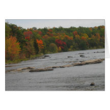 Toronto Fall Season Views HappyBirthday Card