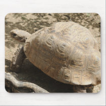 Tortoise mousepads