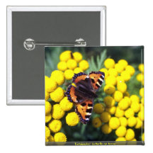 Tortoiseshell butterfly on tansy pin