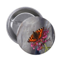 Tortoiseshell Butterfly Pinback Buttons