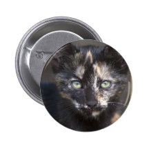 Tortoiseshell Kitten Pins