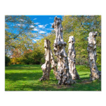 Totems Photo