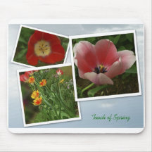 Touch of Spring Mouse Pads