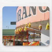 Tourist Trap in Florida Mousepads