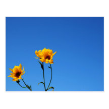 Towards the sun postcard