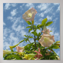 Towering pinks posters