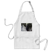 Towering Waterfall Watkins Glen Apron