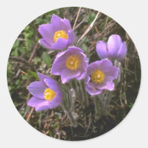 Toxic Colours Round Sticker