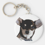 Toy Chihuahua Black and Tan Keychains