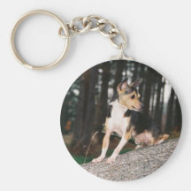 Toy fox terrier keychain