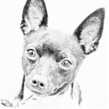 TOY FOX TERRIER PHOTO SCULPTURE
