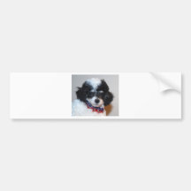Toy Parti Poodle Puppy face Bumper Stickers