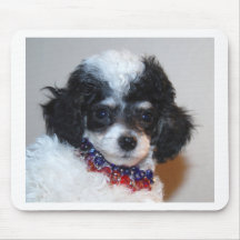Toy Parti Poodle Puppy face Mouse Mat