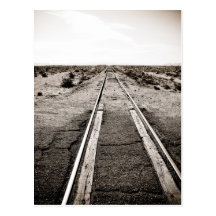 Tracks in the Desert Postcards