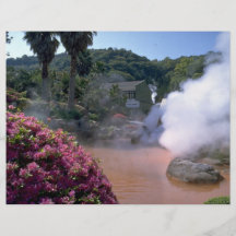 Traditional mineral water bath, Bephu, Japan Flyer Design