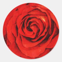 traditional red rose closeup wedding sticker