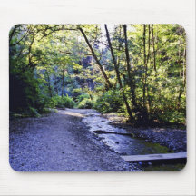 Trail Into Fern Canyon, Prairie Creek - Redwoods S Mouse Pad