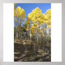 Trail through the aspen print