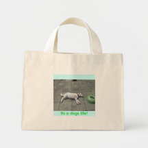 tramor 027, Its a dogs life! Canvas Bag