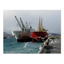 Trampers & Seagulls, Dutch Harbour, AK Postcard