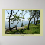 Tranquilatree Scripture Print