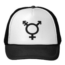 Trans Pride Hat