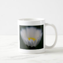 translucent daisy mug