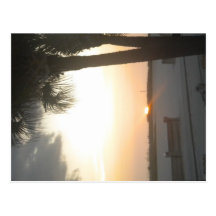 Treasure Island <3 Post Card