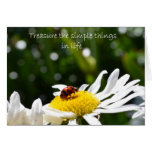 Treasure Life Card