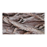 Tree Bark Design Picture Card