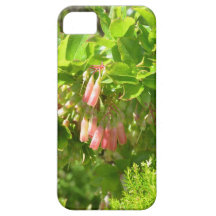 Tree Blooms - Vaccinium Cylindraceum Case For The iPhone 5