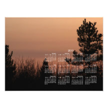 Tree Family; 2013 Calendar Photo