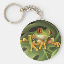 Tree Frog Key Chain