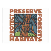 Tree Hugger, Protect Forests Post Card