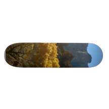 Tree In Zion National Park Custom Skate Board