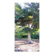 Tree of Wisdom-photo card