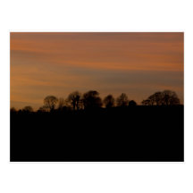 Tree Silhouette above Froggatt Postcard