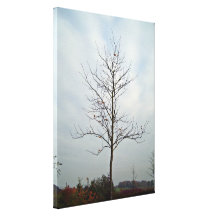 Tree without leaves against the blue sky stretched canvas print