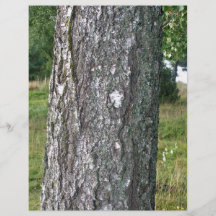 Tree Wood Texture Full Color Flyer