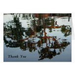 TreeFlect Card