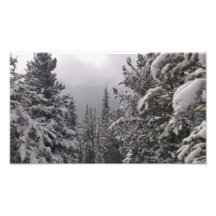 Trees and Snow Art Photo