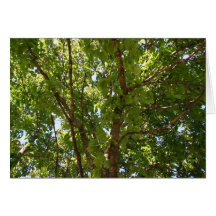 Trees Greeting Cards