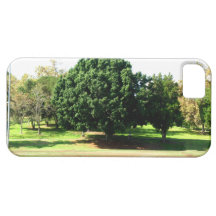 Trees In The Park iPhone 5 Cover